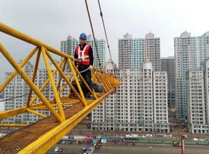 建设工程在保修范围内的具体内容