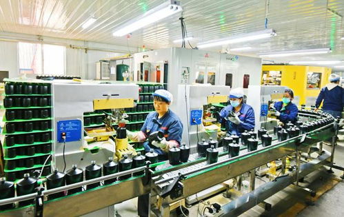 蓄力扬帆 重点项目筑牢汾阳高质量发展四梁八柱